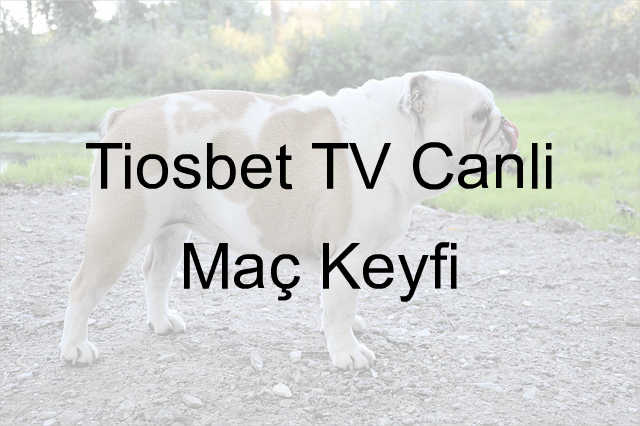 Tiosbet Tv canlı maç