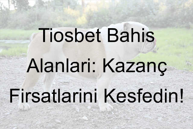 Tiosbet bahis alanları