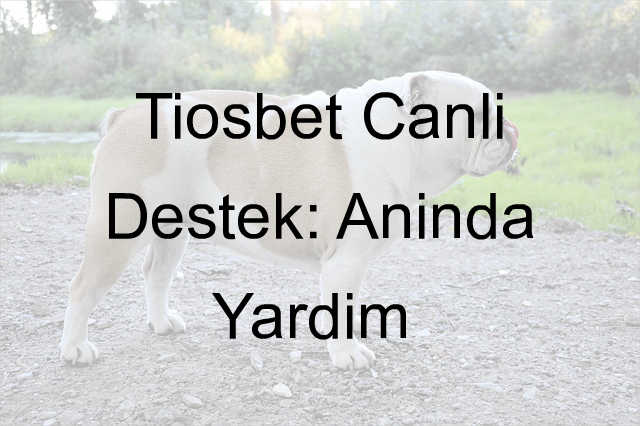 Tiosbet canlı destek