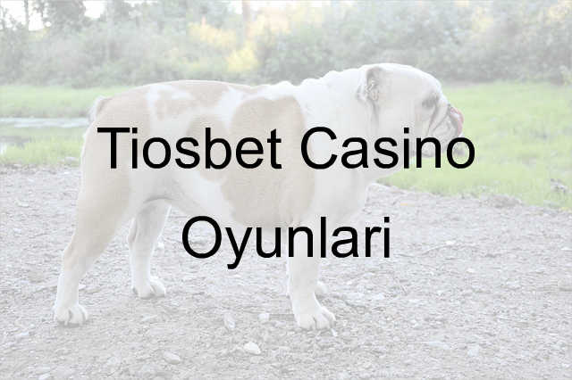 Tiosbet casino oyunları