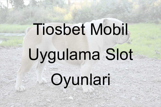 Tiosbet mobil uygulama