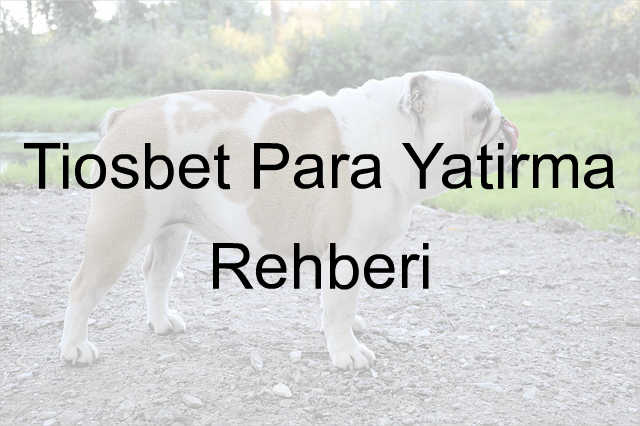 Tiosbet para yatırma