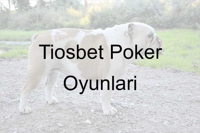 Tiosbet poker oyunları