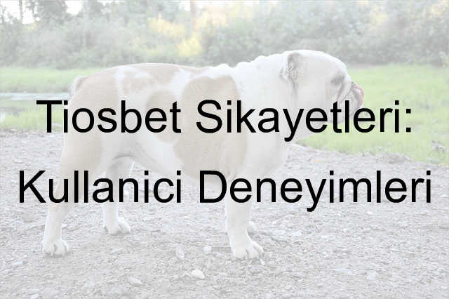 Tiosbet şikayet