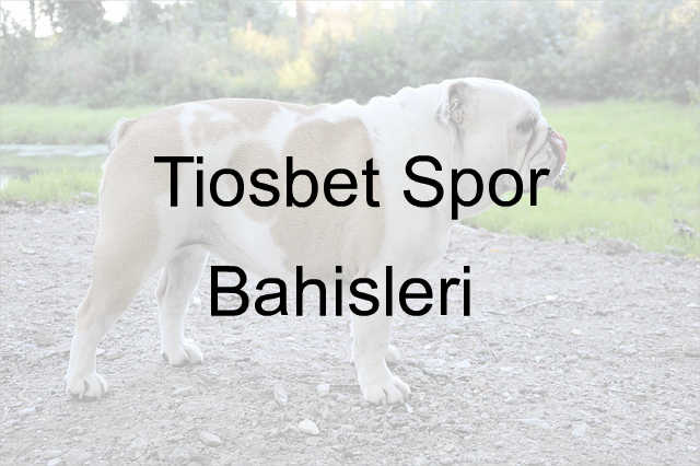 Tiosbet spor bahisleri