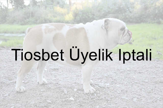 Tiosbet üyelik iptali