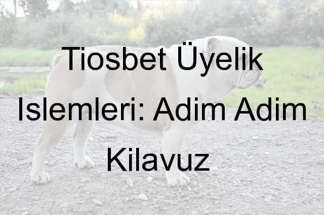 Tiosbet üyelik işlemleri